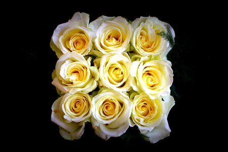 Flower scuare bouquet