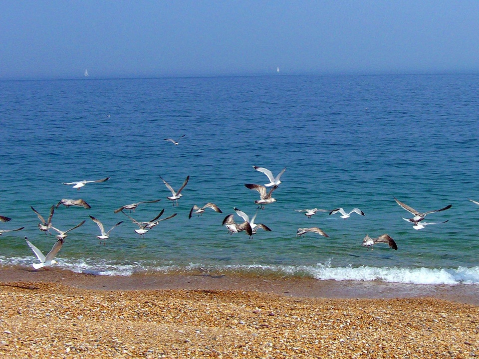 Nature sunny day