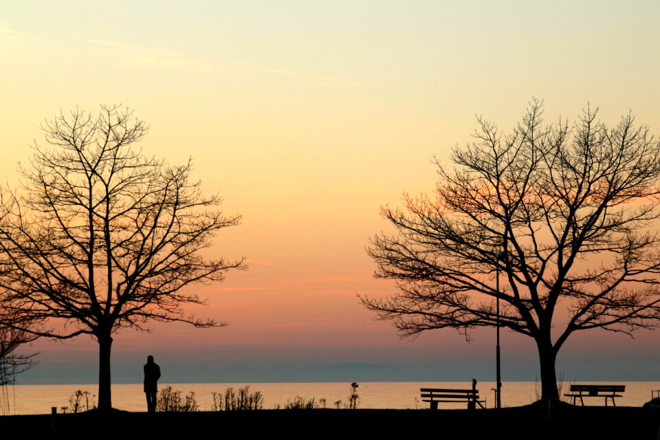 Lonely lake mood photo