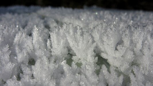 Cold winter crystals