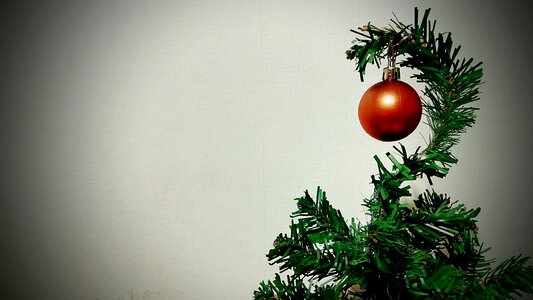 Christmas merry christmas pine