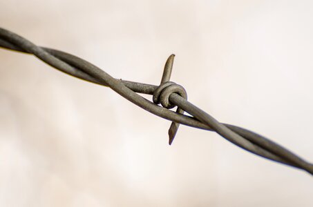Ranch rustic barbed