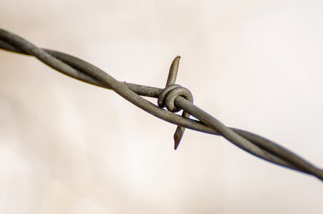 Ranch rustic barbed photo