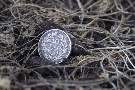 Finance currency coin photo