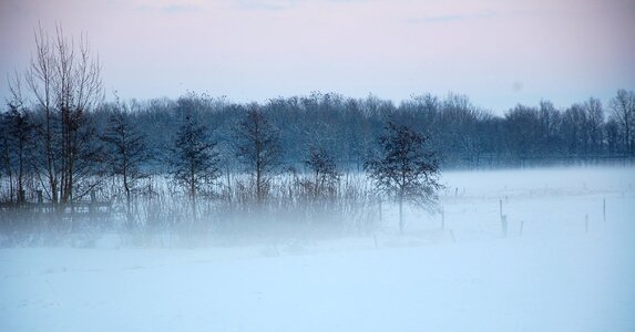 Snow nature dusk