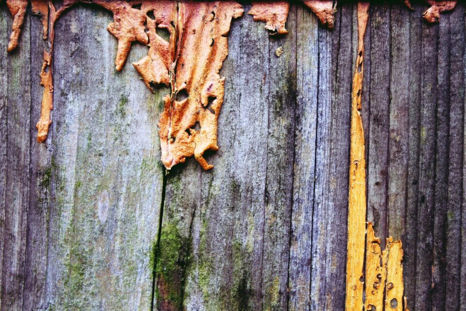 Old wall structure