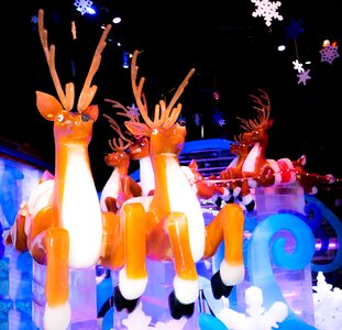 Ice exhibition winter