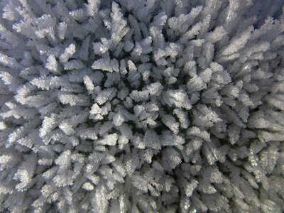 Cold winter crystals