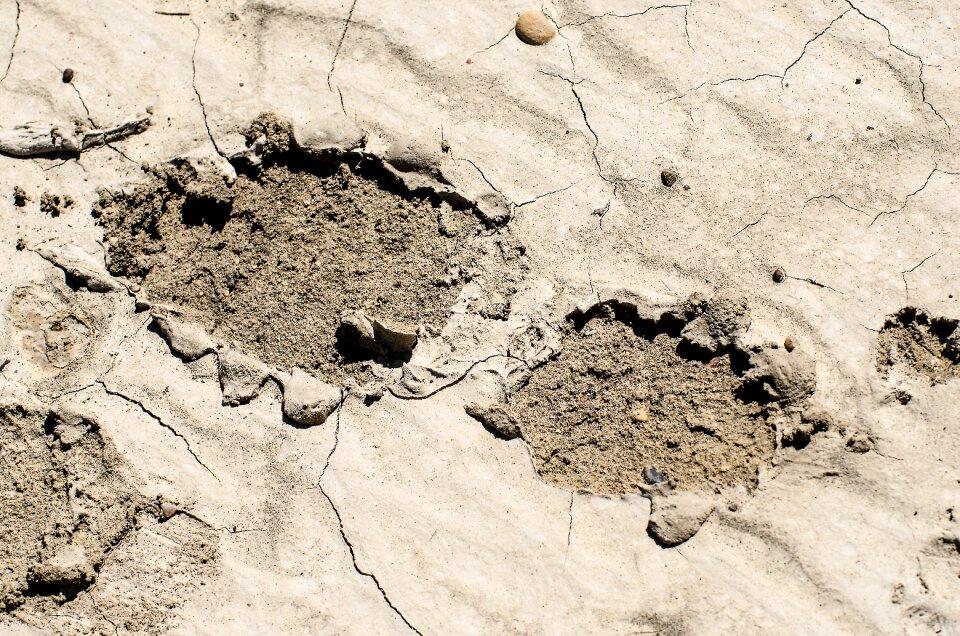 Mud tracks footprint