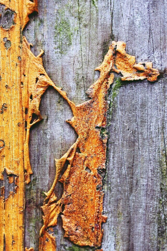 Old wall structure