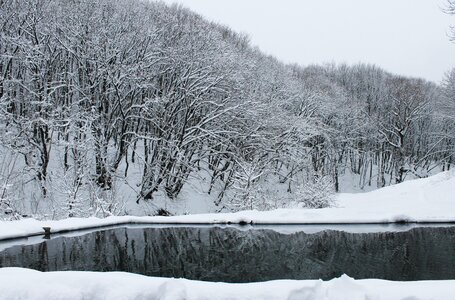 Winter forest nature water in the wood photo