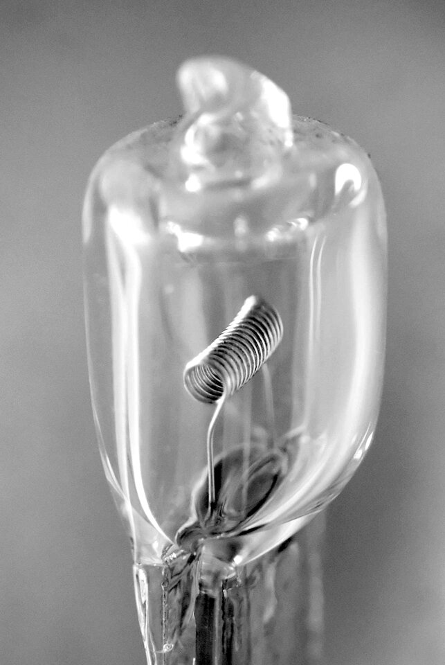 Halogen light detail