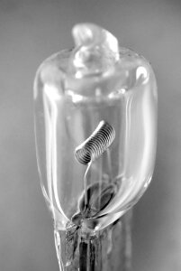 Halogen light detail