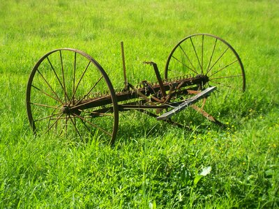 Grass metal green metal