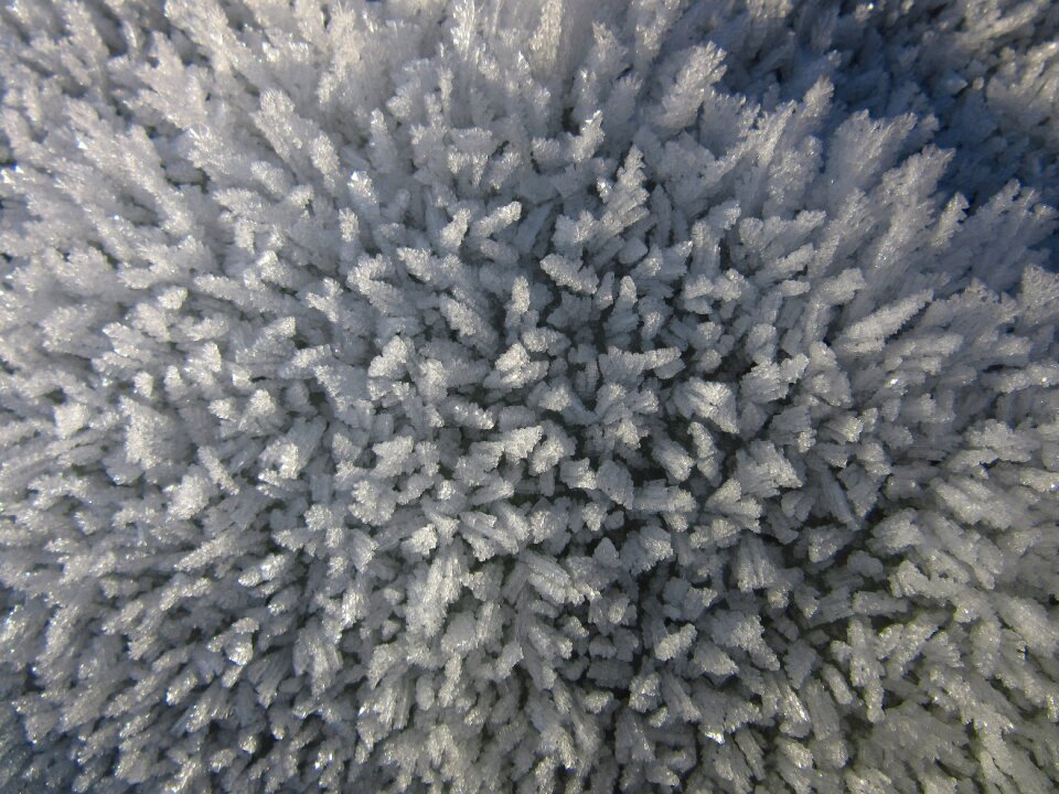 Cold winter crystals