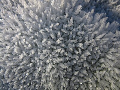 Cold winter crystals