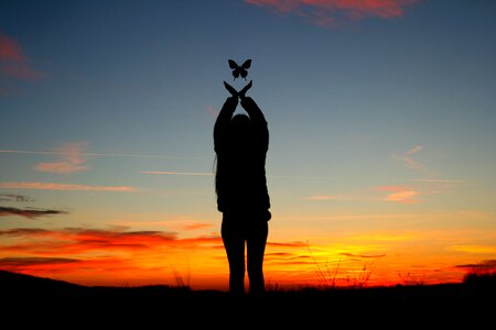 Butterfly sky cloud photo