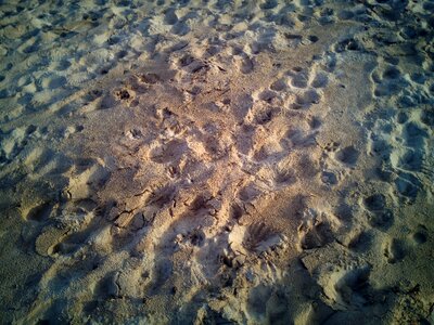 Footprints barefoot feet