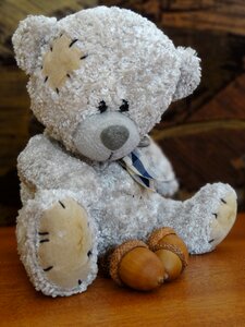 Cuddly teddy bear fun photo