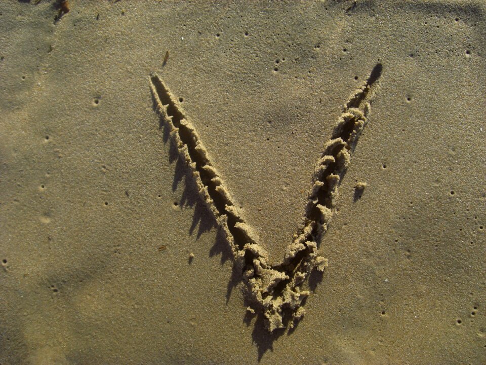 Beach alphabet brown letter