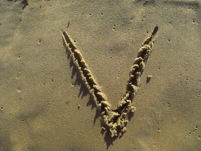 Beach alphabet brown letter