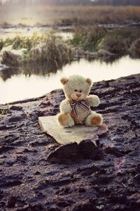 Soft toy bears stuffed animal photo