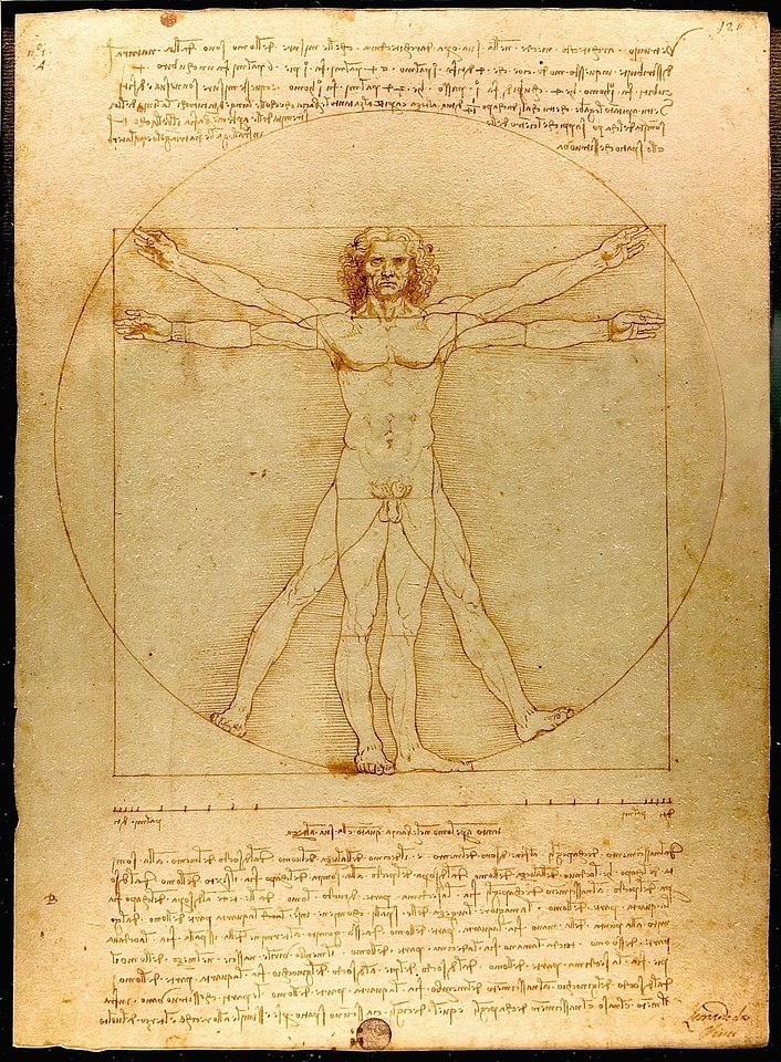 Homo vitruvianus vitruvian figure drawing