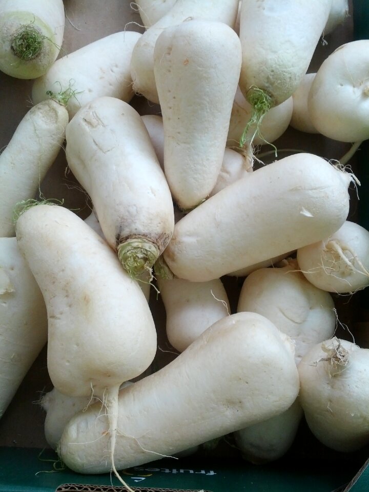 Turnip vegetables white turnip