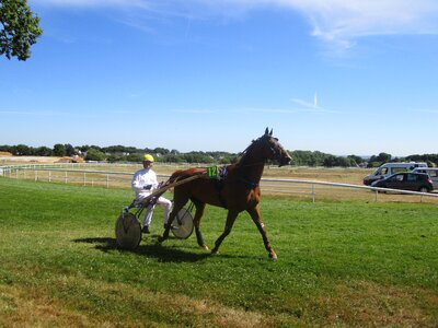 Horse echauffement hippodrome