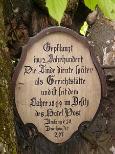 Holy mountain tree natural monument