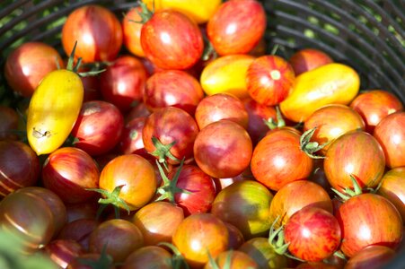 Healthy ripe fresh