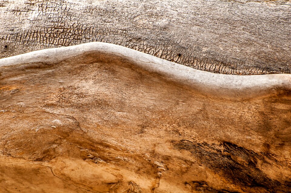 Texture background art