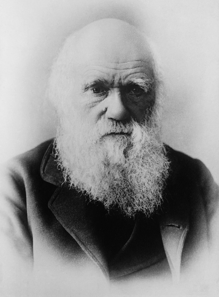 Evolution black and white man