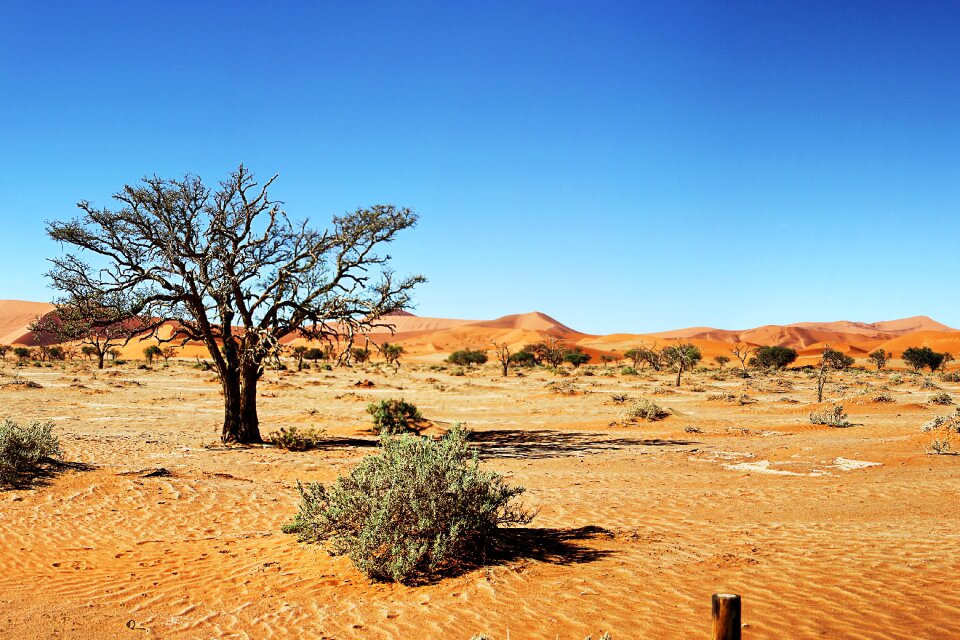 Sand sand dune sossusvlei photo