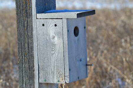 Saskatchewan canada wood