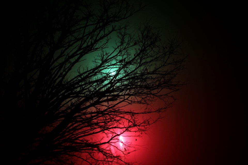 New year celebration colour 2016