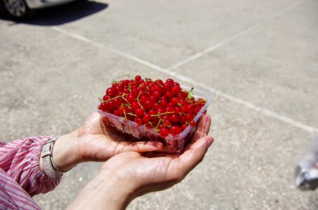 Fruit fresh