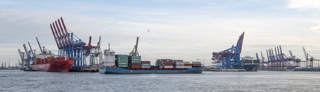 Cranes freighter sea