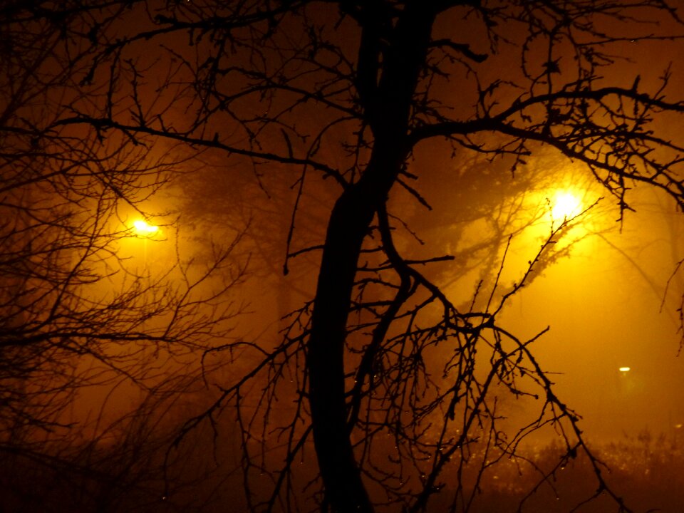 Lamps gloomy creepy