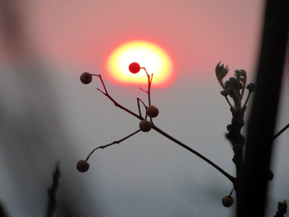 Outdoor silhouette landscape