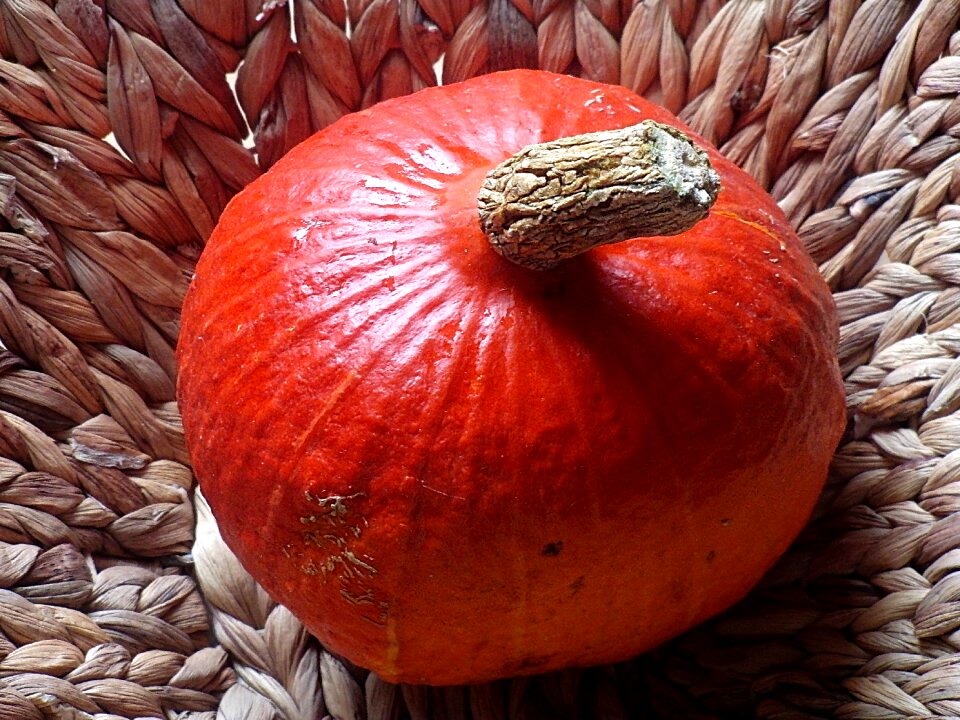 Orange vegetables autumn decoration