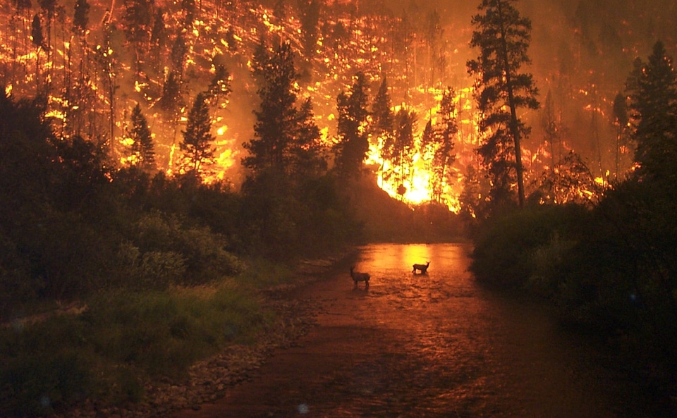 Conflagration natural disaster smoke