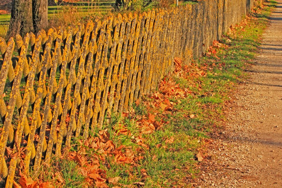 Autumn abgewittert sun game