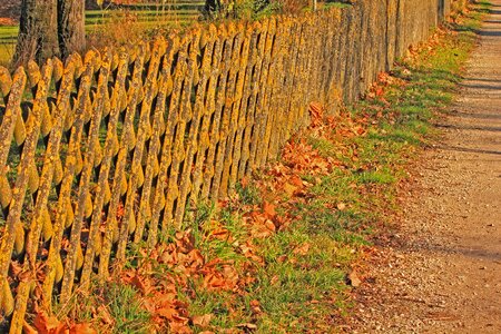 Autumn abgewittert sun game