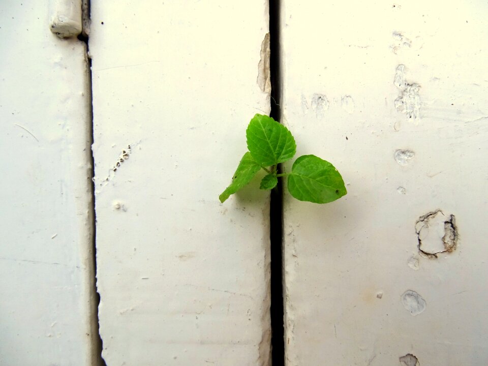 White inside white wall