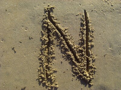 Beach alphabet brown letter