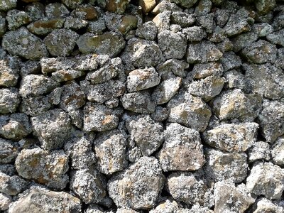 Stones moss