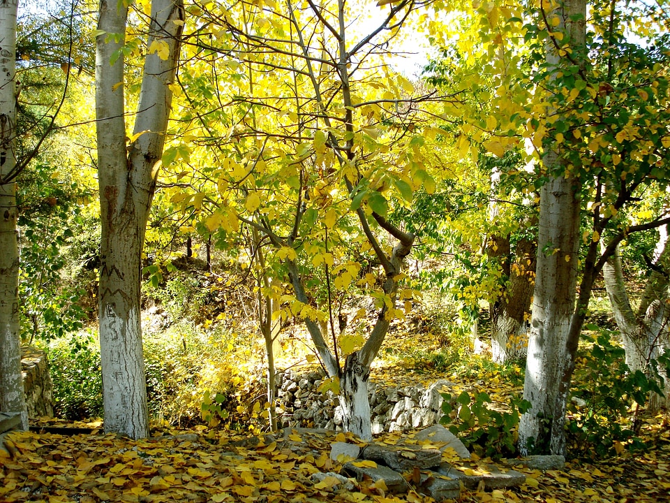 Agriculture outdoors environment