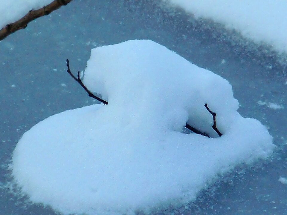 Love winter snow heart photo