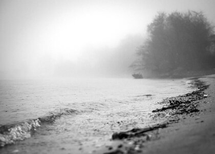 Nature black and white mist